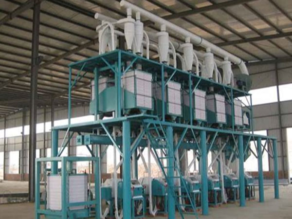 20tpd wheat milling machine plant