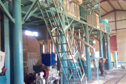 50 TPD Maize Flour Plant In Zambia
