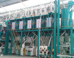 Maize flour mill plant