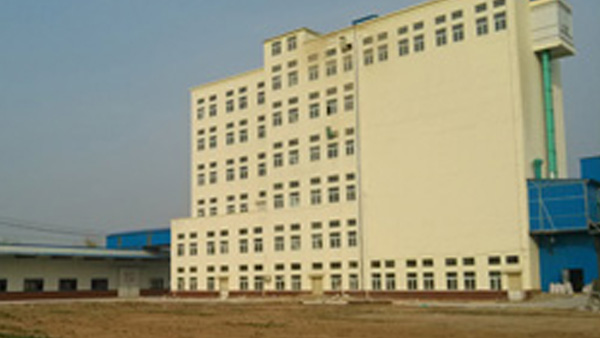 250ton/d flour milling plant