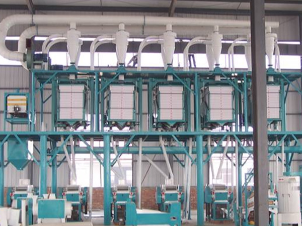 wheat flour plant installation