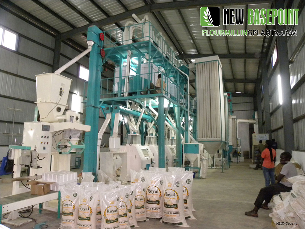 500tpd wheat flour plant
