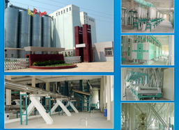 300-1000ton/D Wheat Flour Plant