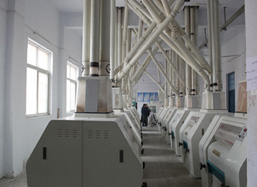 150-300ton/D Wheat Flour Mill Machine