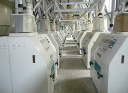 60-150ton/D Wheat Flour Milling Machine