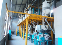 30-60ton/D Wheat Flour Machine