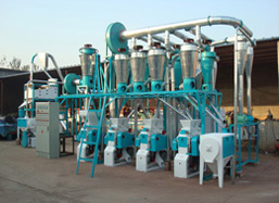 10-30ton/D Wheat Milling Machine Plant