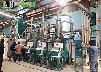 15T-50TPD complete set of maize flour milling machine