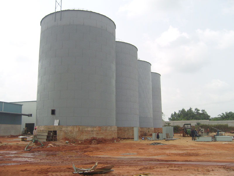 1000Ton x 4 wheat silo for wheat flour mill in Sourth Africa.jpg